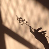 three